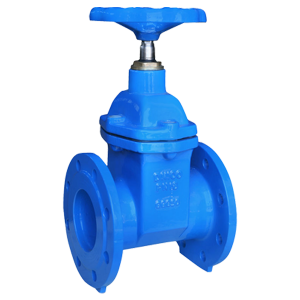 CAST IRON GATE VALVE
