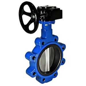 butterfly valve5