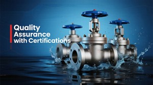 g gate valve6