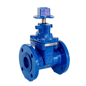 gate valve
