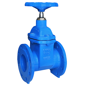 gate valve